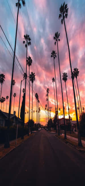 Nền iPhone X California — Realme 16x Hình nền