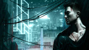 Hình nền Sleeping Dogs — Chó ngủ Hình nền
