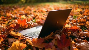 Một chiếc Chromebook nằm giữa những chiếc lá mùa thu rực rỡ sắc màu dưới ánh nắng ấm áp.