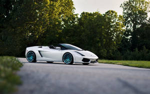 Hình nền Lamborghini Gallardo Spyder mui trần màu trắng.
