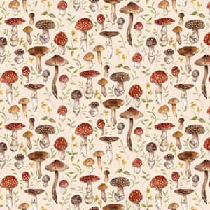 Nấm Cổ Điển Dễ Thương Beige