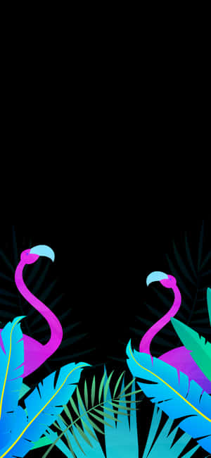 Nền Amoled Pixel 3xl