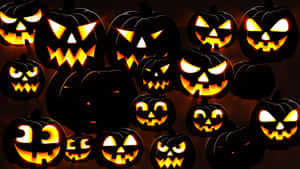 Nền Bí Ngô Halloween — Halloween GIF Hình nền