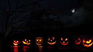 Nền Bí Ngô Halloween — Halloween GIF Hình nền