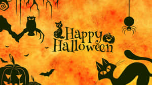 Nền Halloween Đáng Sợ — Đáng sợ halloween Hình nền
