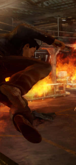Nền Sleeping Dogs cho iPhone XS — Chó ngủ Hình nền