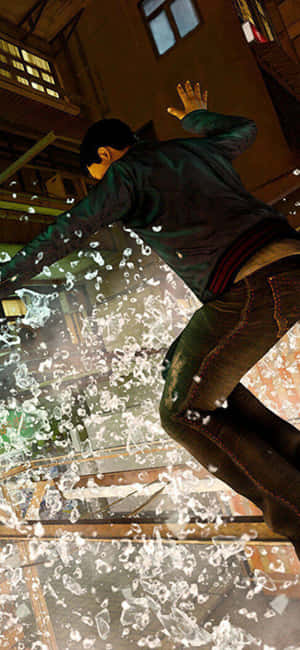 Nền Sleeping Dogs Cho iPhone Xs — Chó ngủ Hình nền