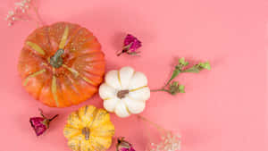 Nền Tạ Ơn Dễ Thương