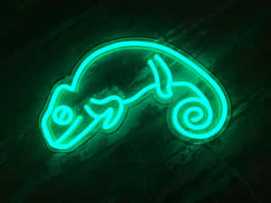 Nền Thẩm Mỹ Xanh Neon Cuốn Hút