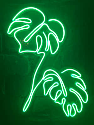 Nền Thẩm Mỹ Xanh Neon Rực Rỡ