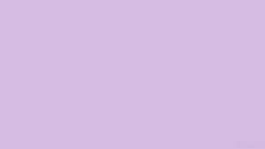 Nền Tím Pastel — Pastel tím Hình nền