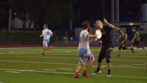 Nền Ultimate Frisbee 1920x1080