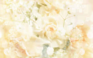 Nền vàng pastel — Pastel Vàng Aesthetic Hình nền