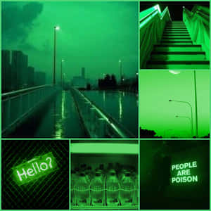 Nền Xanh Neon Rực Rỡ