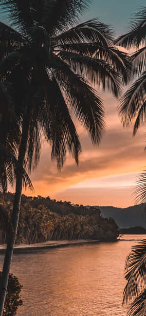 1170x2532 — Motorola Edge 60 Neo Hình nền