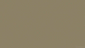 Hình nền nghệ thuật thẩm mỹ màu be nâu — Beige nâu thẩm mỹ GIF Hình nền