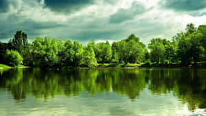Hình ảnh 1920X1080 — 1920x1080 Hình nền