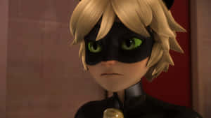 Hình ảnh Cat Noir
