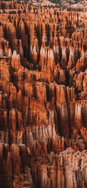 Những Chóp Đỏ Hùng Vĩ Tại Vườn Quốc Gia Bryce Canyon — iPhone 13 Pro Max Hình nền