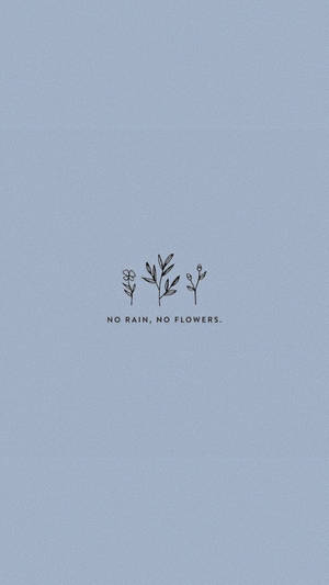 Hình nền thẩm mỹ dễ thương no rain no flowers