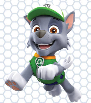 Hình nền Paw Patrol Rocky — Vivo X Fold3 Pro Hình nền