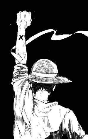 Hình nền Monkey D Luffy phác thảo lưng — Redmi Pad 2 Hình nền