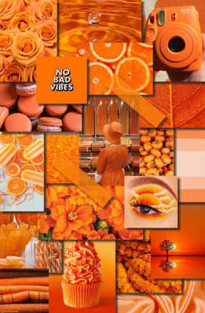 Hình ảnh phong cách cam — Cam aesthetic GIF Hình nền