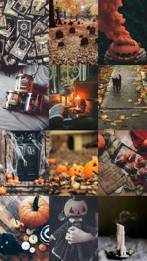 Hình nền Phong Cách Phù Thủy Halloween — Halloween thẩm mỹ Hình nền
