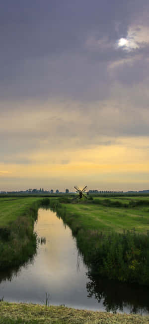 1242x2688 — iPhone 14 Plus Hình nền