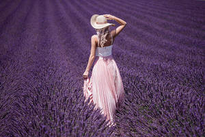 Phụ Nữ Thẩm Mỹ Lavender Đang Bước Đi Trong Cánh Đồng
