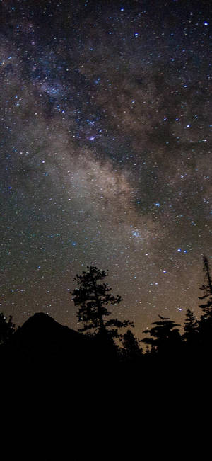 Pretty Galaxy Mountain Forest — iPhone 12 Hình nền