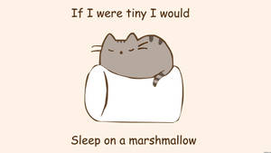 Hình nền Pusheen Ngủ Trên Kẹo Dẻo — Đơn giản Hình nền