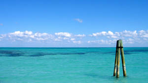 Hình nền quang cảnh đại dương Bahamas — Cảnh biển Hình nền