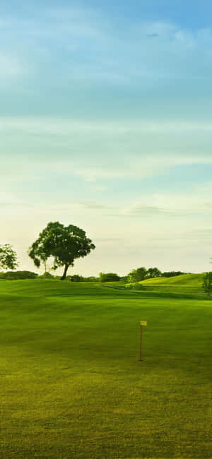 Hình nền Iphone X Sân Golf — POCO M8 Pro Hình nền