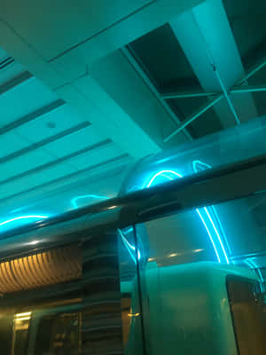 Hình ảnh đẹp neon xanh — Neon xanh Hình nền