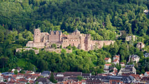 Rừng Quanh Lâu Đài Heidelberg — Xanh aesthetic GIF Hình nền