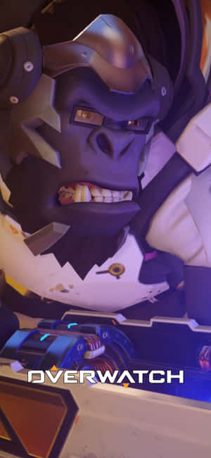 Hình nền Overwatch cho iPhone X — OnePlus 12 Hình nền