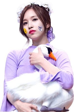 Sao Kpop Cùng Thiên Nga Bông