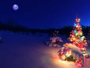 Hình nền A Christmas Carol — A christmas carol Hình nền