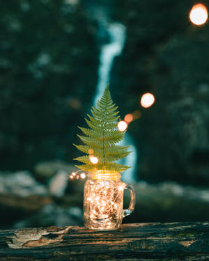 Hình nền lá trong lọ. — 4:5 Hình nền