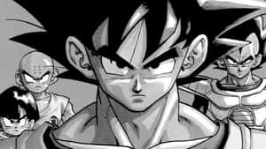 Hình ảnh Dragon Ball — Dragon ball Hình nền