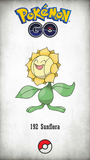 Sunflora trong Pokemon Go — Pokemon arceus huyền thoại Hình nền
