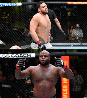 Tai Tuivasa và Derrick Lewis — Honor Magic V Hình nền