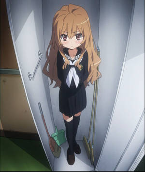 Hình nền Toradora Taiga Aisaka Trong Tủ Quần Áo. — Motorola Razr Ultra 2026 Hình nền