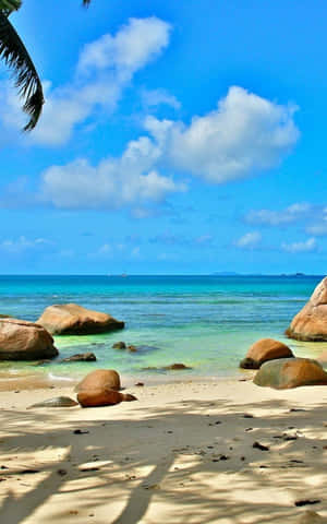 Điện thoại Beach — Redmi Pad Hình nền