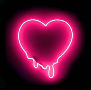 Hình ảnh thẩm mỹ màu hồng neon — Neon hồng aesthetic Hình nền