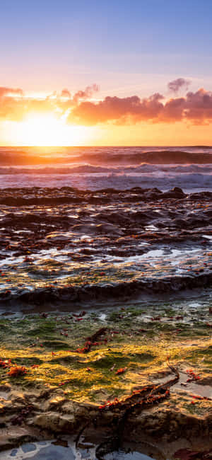 Nền iPhone X California — Xiaomi 14 Ultra Hình nền