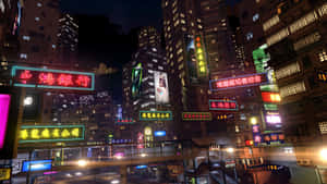 Hình nền Sleeping Dogs — Chó ngủ Hình nền