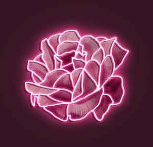Hình ảnh thẩm mỹ màu hồng neon — Neon hồng aesthetic Hình nền
