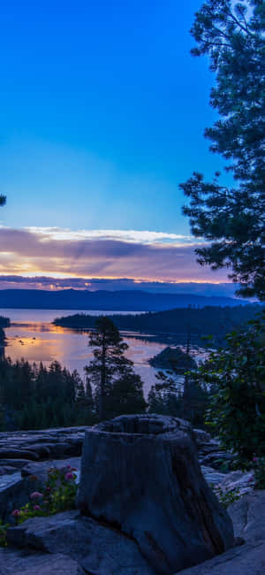 Hình nền iPhone X California — Màn hình chính Hình nền